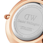 Daniel Wellington Petite Bristol 32mm White Dial Brown Genuine Leather Women's Watch - DW00100171
